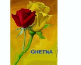 by chetna pandya