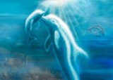 by Daniel B. Holeman