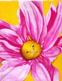by Angela Smith
