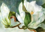 by Joan A Hamilton