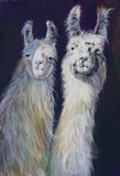 by Joan  Wulff