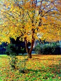 by metin topa