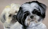 by linda lindall