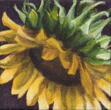 by Debbie Shirley
