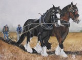 by Sharon Jarvis