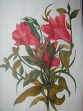 by Lisa Luchia Stocks