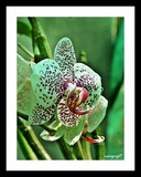 by upagupt mohanty