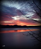 by Naturevine Photography