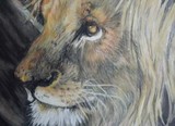 by Teddie Dumas Forbes