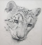 by Alan Pickersgill