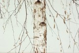 by Edward Ginsberg