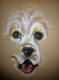 by Diane Langmade