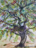 by Darlene Foster