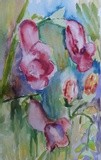 by Irina Stroup