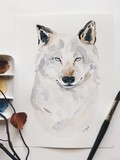 by Mayara de Oliveira