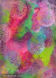 by Mimi Bondi