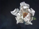 by Cene gál István
