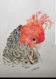 by Melanie  Smith