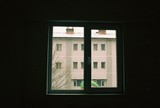 by Burcu Yilmaz