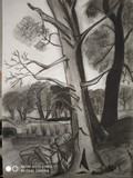 by Anu Radha