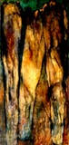 by Sherri  Tillman