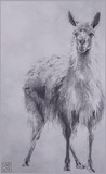 by Sher Richardson