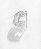 by Farahilde Harmensdochter