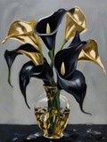 by Mihaela B