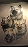 by Gayle Taylor