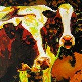 by connie van winssen