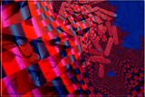 by Nira Dabush