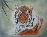 by Linda Soroka