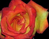 by Marilyn Soper