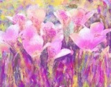by Ginger Olansen