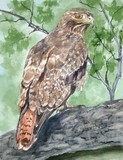 by Bev                  Chudey