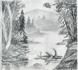 by Homayra Amirzada