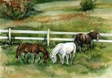 by Nancy Soulliard