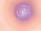 by Hassan Pasha