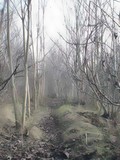 by Ionut Ignat