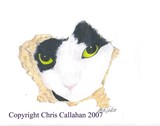 by Chris Callahan