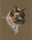 by Jennifer Redstreake