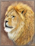 by Svetlana Ledneva-Schukina