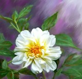 by Terry Harris