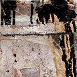 by Cassandra-lyn Palmer