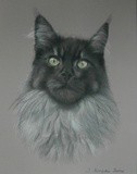 by Joanne Simpson-Connor