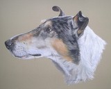 by Joanne Simpson-Connor