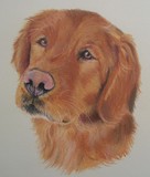 by Joanne Simpson-Connor