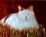 by Ileen Kaplan