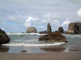 by Allan Philiba