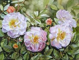 by Doris Joa